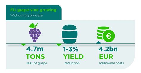 wine without glyphosate