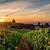 wineries near canyonville oregon