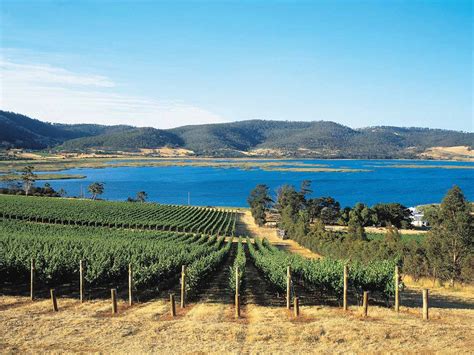 wineries near hobart tasmania