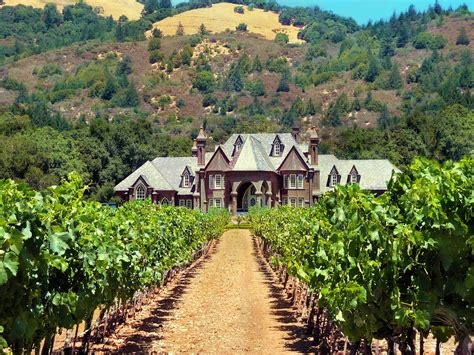 winery for sale near sonoma county