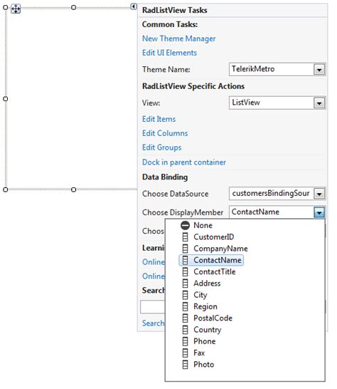 Winforms Listview Data Binding Example