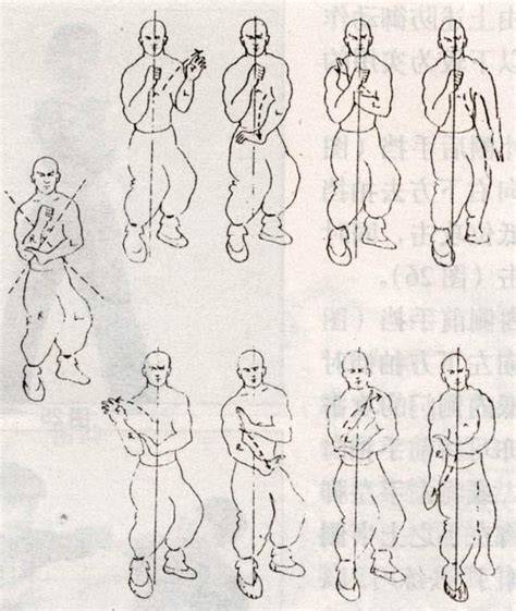 Illustrations Wing Chun on Behance Kung fu, Arts martiaux, Martial