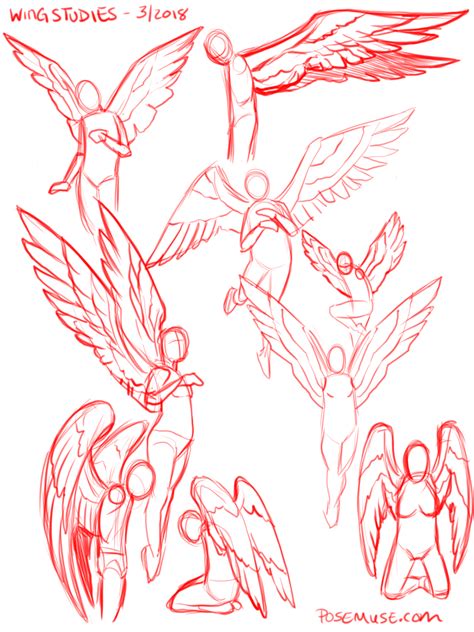 Wing Pose Reference Ultimate Guide: Master Your Art
