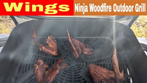 wings in ninja smoker