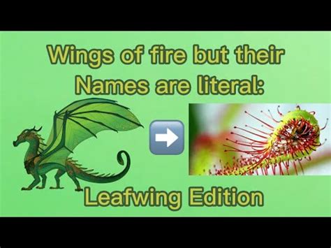 Wings Of Fire Leafwing Names