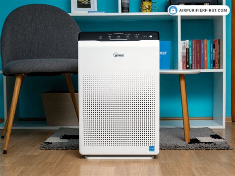 Winix Air Purifier Does It Work