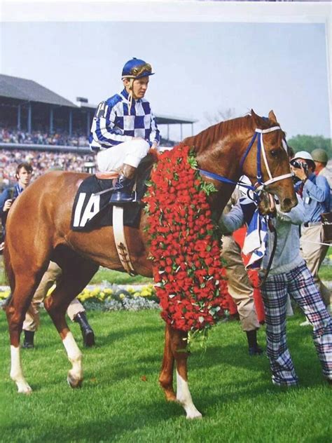 winner in horse riding in 1995