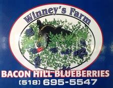 winnie's blueberries schuylerville ny