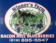 winnie's blueberry farm schuylerville ny