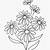 winter flowers coloring pages