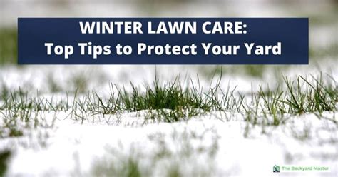 Tips On How To Prepare Your Lawn For Winter Winter lawn, Winter lawn