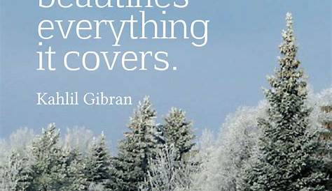 Savor Every Snowflake With These Winter Quotes | Snow quotes, Winter