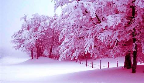 Winter Wonderland Pink Snow Aesthetic