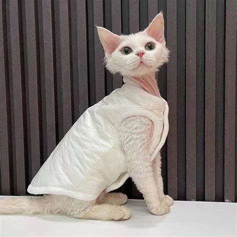 Winter Cat Vest