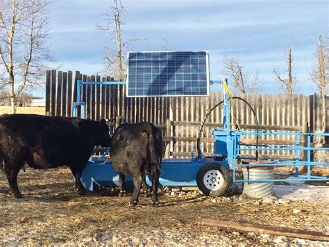 Winter Cattle Watering Systems