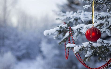 10 Stunning Winter Christmas Backgrounds That Will Add Festive Cheer to Your Screen