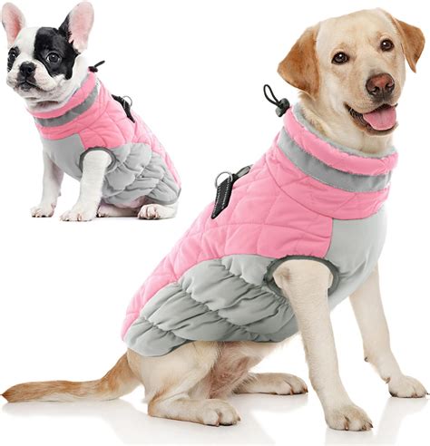 Winter Clothes For Dogs