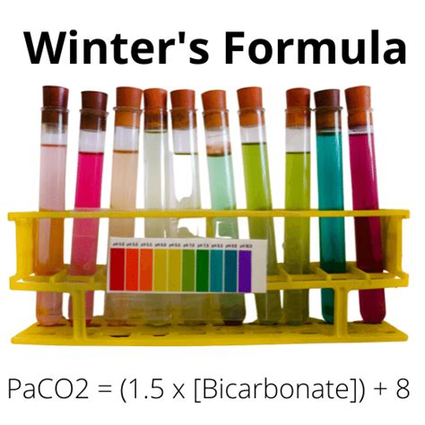 Uncover the Ultimate Winter Formula for a Radiant Season