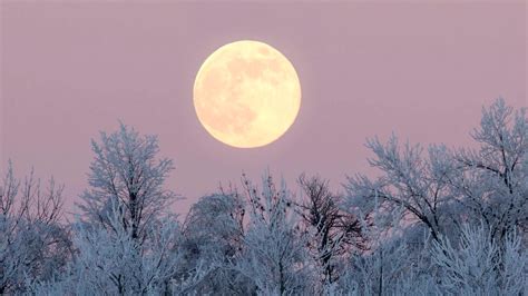Winter Moon Magic: A Must-See Celestial Event This Season