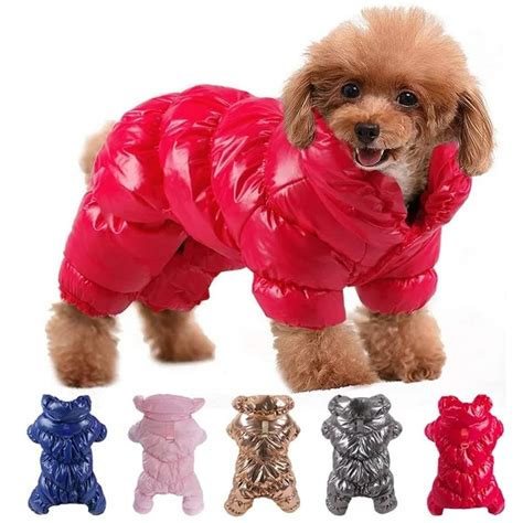 Winter Pet Clothes
