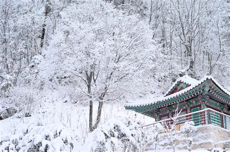 winter season in korea 2024