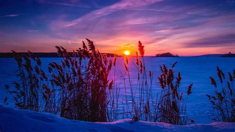 Winter Sunset Magic: A Celestial Spectacle