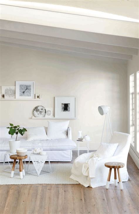 Winter White Wonders: Discover the Magic This Season