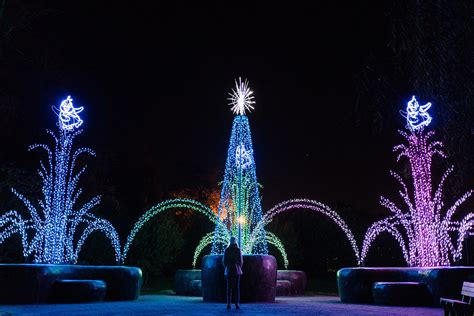 The Best Winter Wonder Lights 2023
