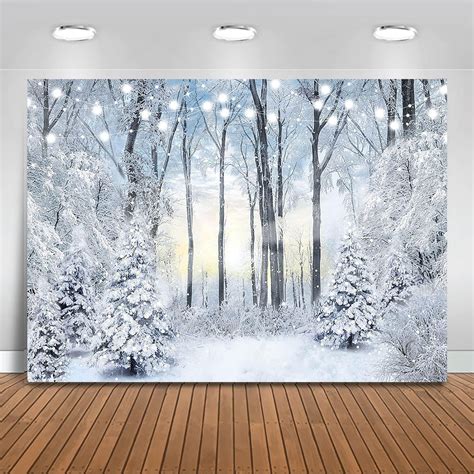 Create magical memories: Unleash your Winter Wonderland Backdrop