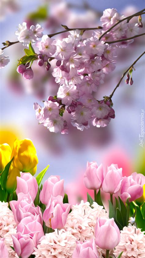 Piękny obraz wiosny Tapeta na telefon