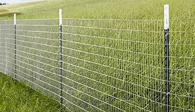 Wire Mesh Garden Fence Panels