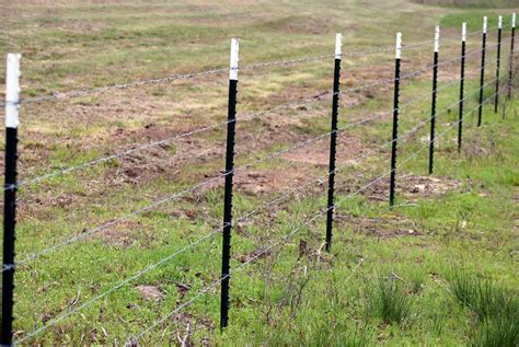 Wire Fence With T Posts