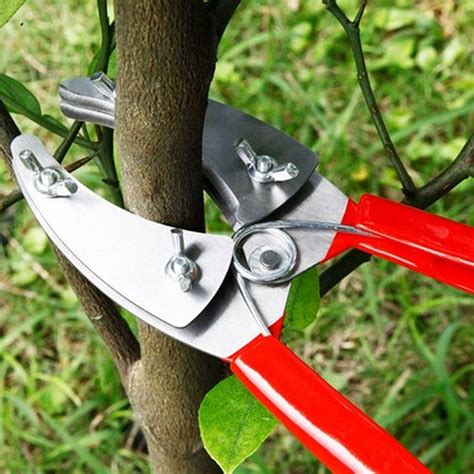 Wire Tree Limb Cutter