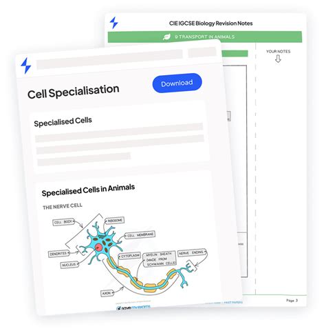 Wireless Access Points Gcse