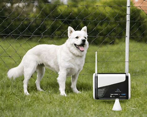 Wireless Dog Fence Not Working