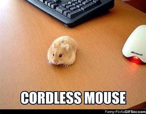 CALL TECH SUPPORT O MY MOUSE IS DEAD Quick Meme Com Meme on SIZZLE