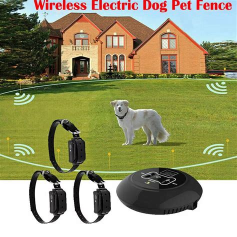 2019 Best Wireless Dog Fence Reviews Dog fence, Wireless dog fence, Dogs