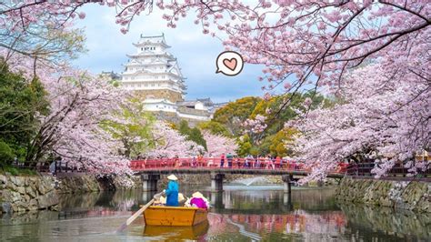 Wisata Bogor Rasa Jepang: Menikmati Keindahan Budaya Jepang di Tengah Kota Bogor