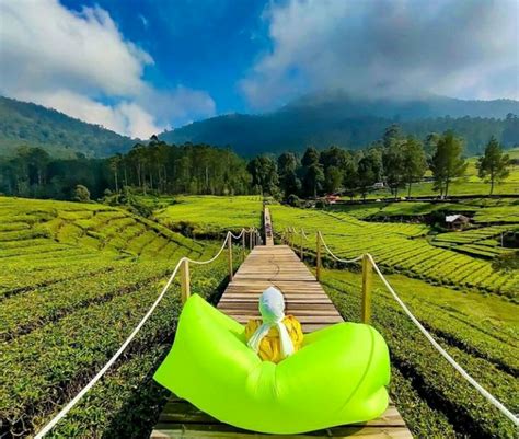 Wisata di Pangalengan Bandung: Menjelajahi Pesona Alam yang Menakjubkan