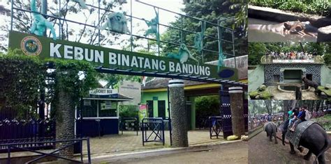 Wisata Kebun Binatang Bandung