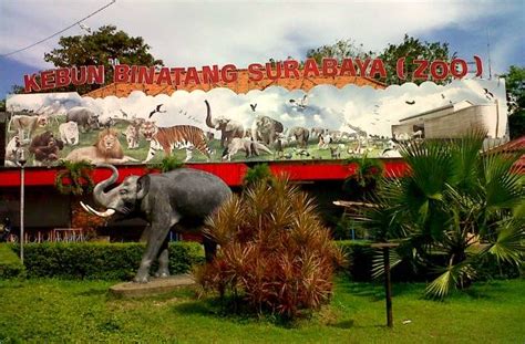 Wisata Kebun Binatang Surabaya: Menikmati Keanekaragaman Satwa Di Tengah Kota