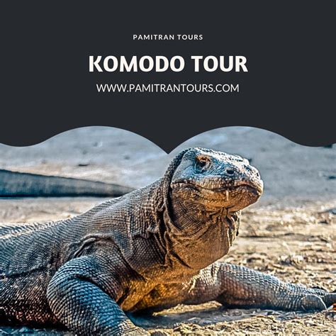 Wisata Komodo Surabaya Bali: Gabungan Indahnya Alam Dan Budaya