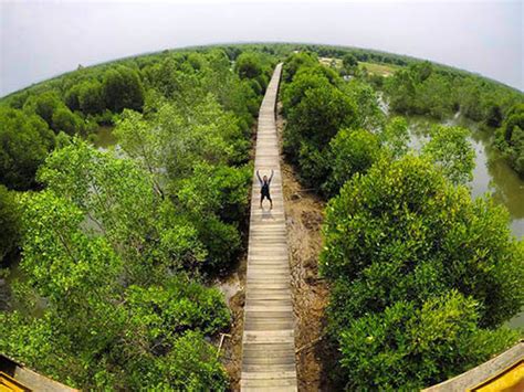 Wisata Mangrove Lubuk Kertang: Menikmati Keindahan Alam di Lubuk Kertang