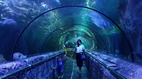 wisata aquarium di jakarta