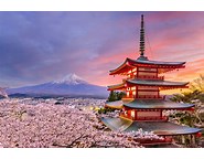 Wisata Budaya di Jepang
