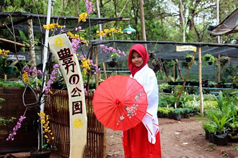 Wisata di Pati ala Jepang: Nostalgia Keindahan Jepang di Bumi Pati