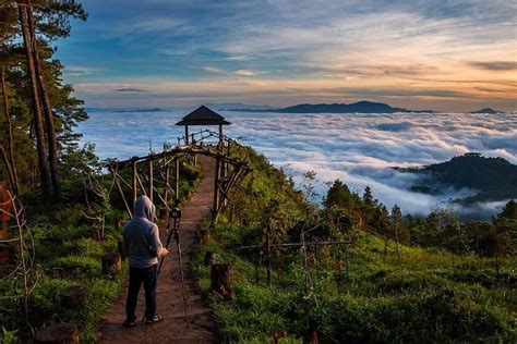 Wisata Toraja Pango Pango: Mengungkap Indahnya Destinasi Wisata Tersembunyi