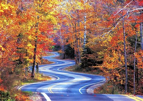 The Best 5 "Drives" for Wisconsin Fall Colors. Wisconsin fall colors