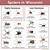 wisconsin spiders chart