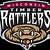 wisconsin timber rattlers roster